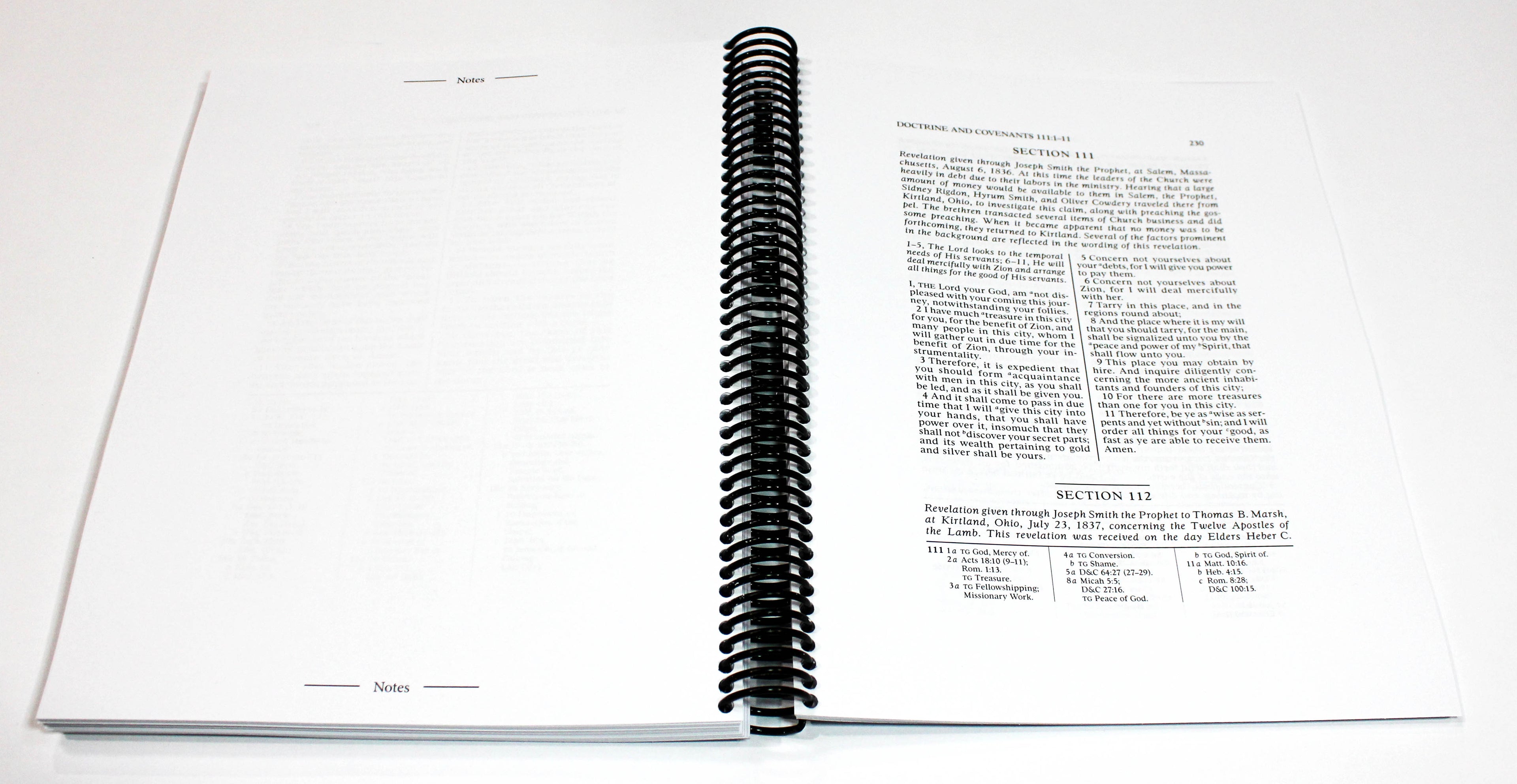 Wide Margin Doctrine and Covenants