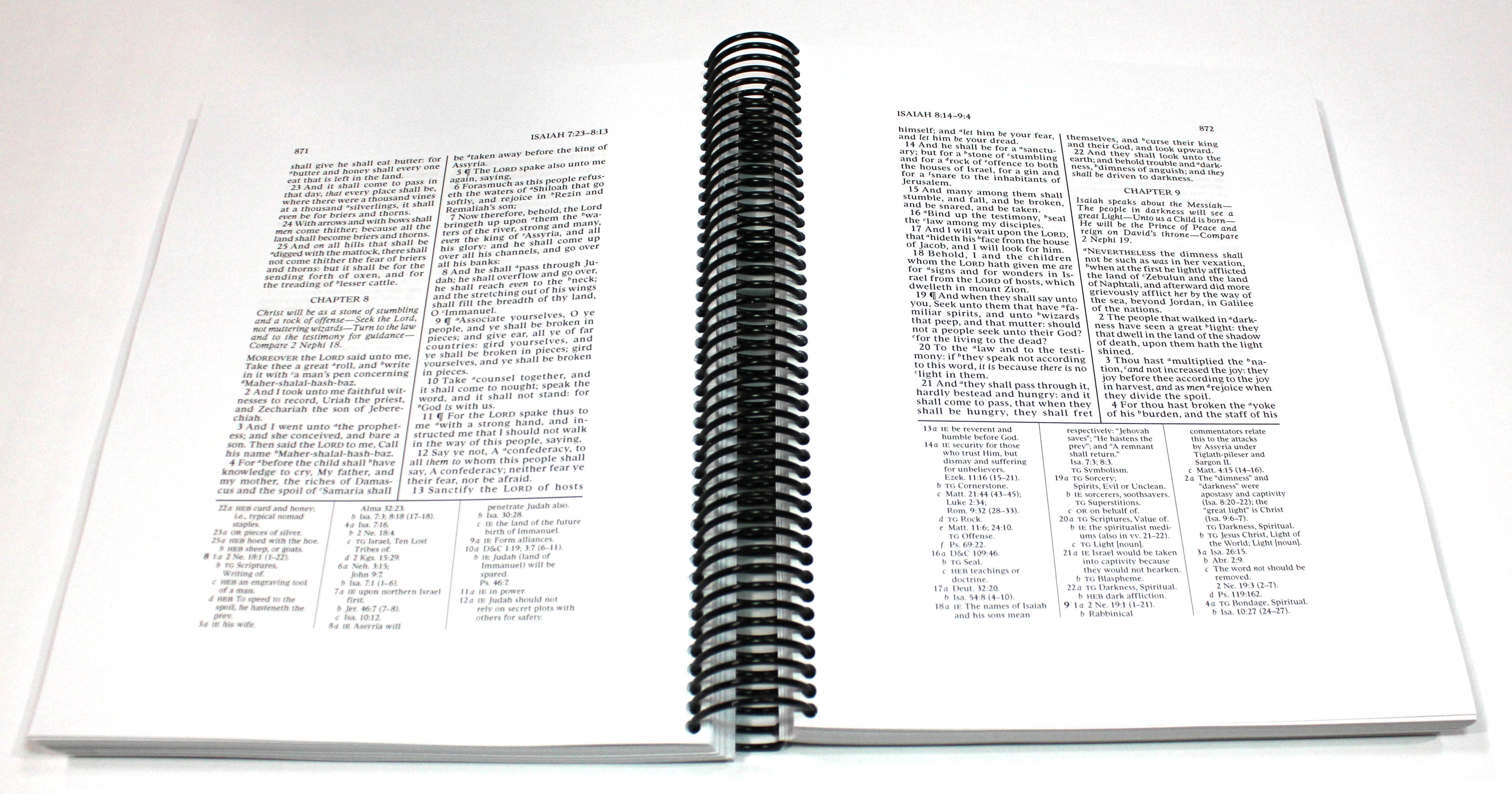 Wide Margin Old Testament Vol 2