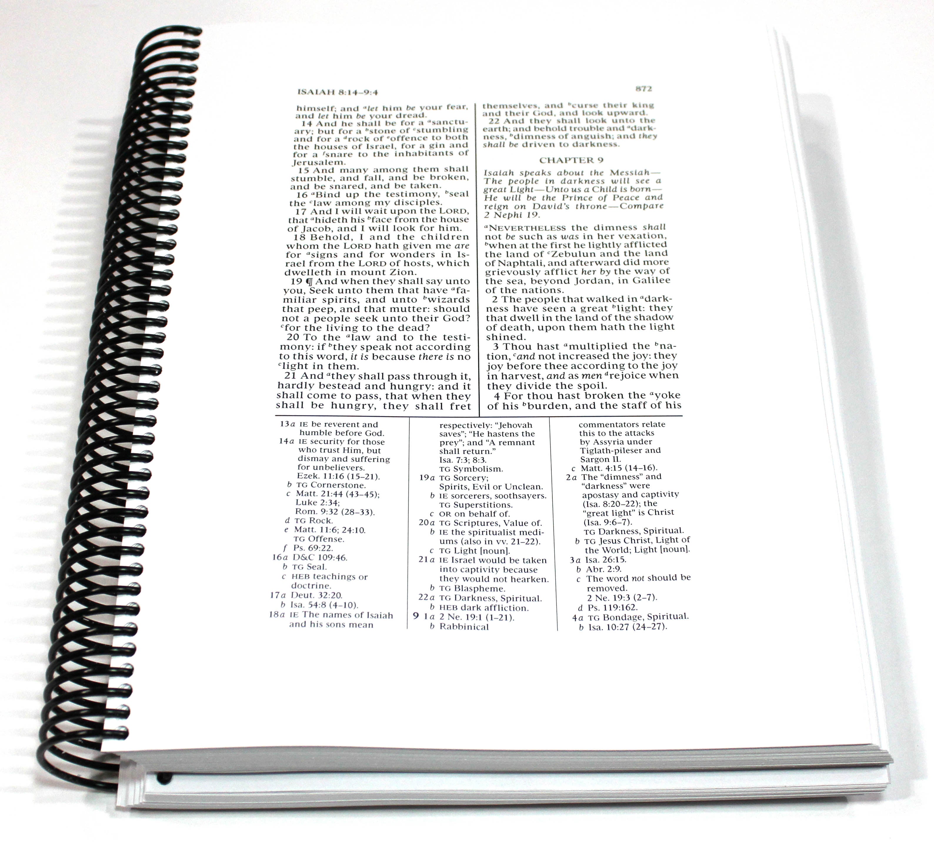 Wide Margin Old Testament Vol 2