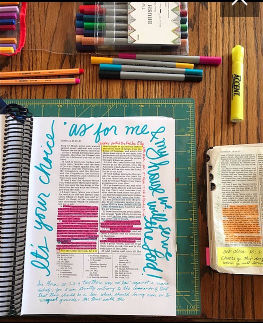 Wide Margin Old Testament Vol 2